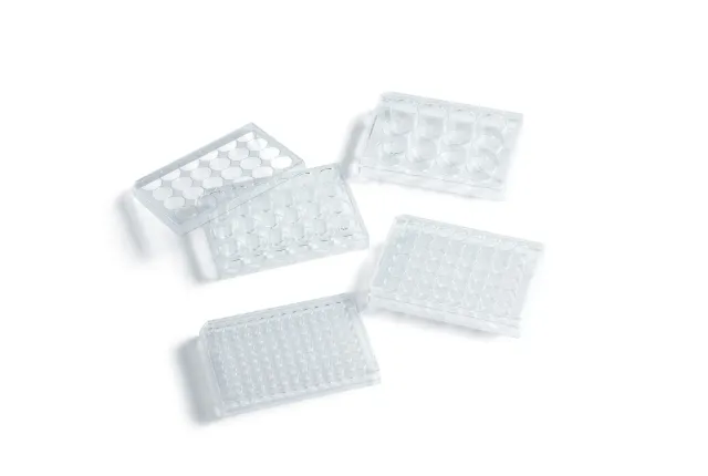 Cell and Tissue Culture Plates